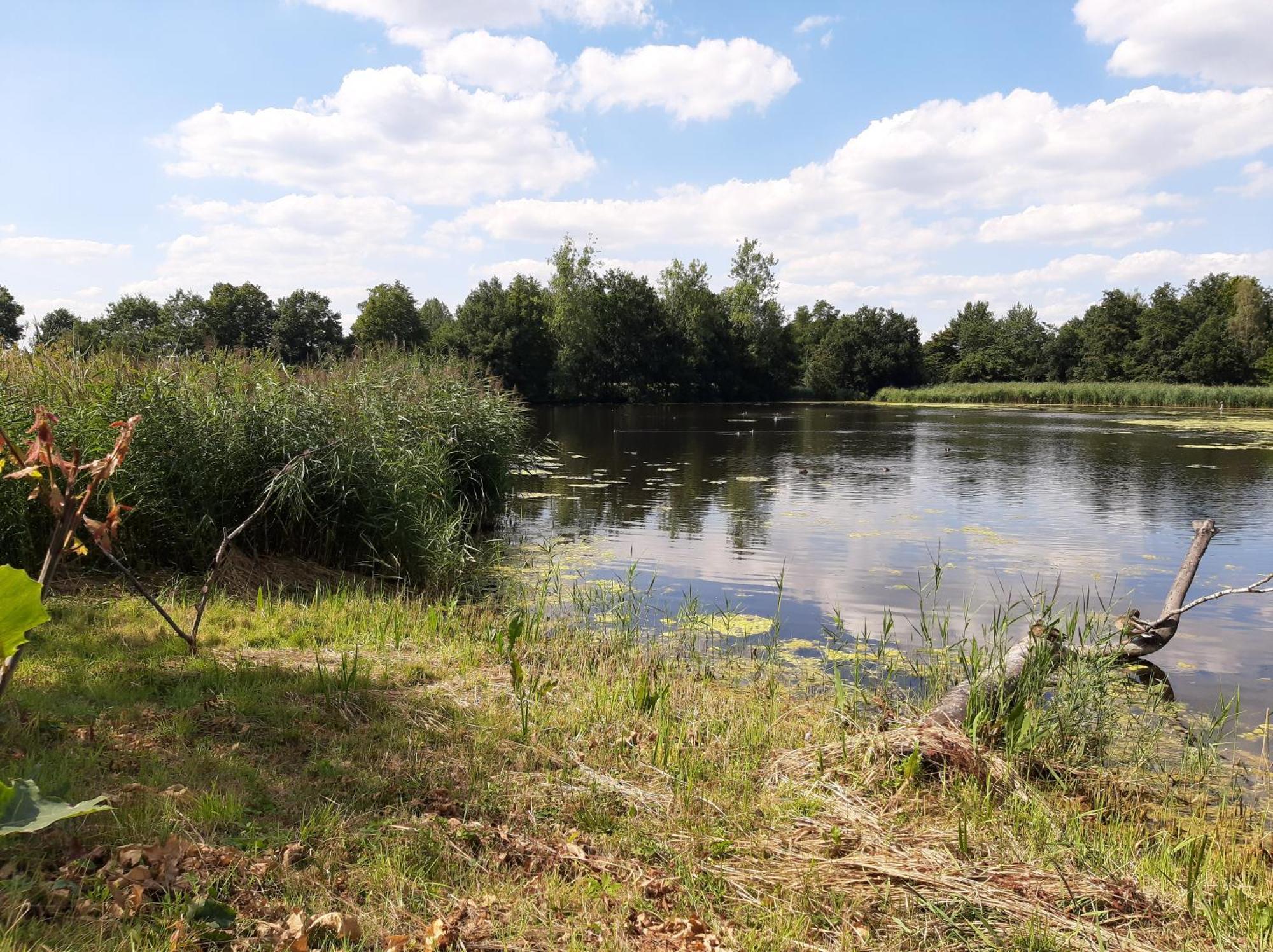 Den Donkman Villa Dessel Kültér fotó